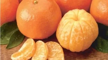 تحديث أسعار الفاكهة.. تكلفة شراء البرتقال واليوسفي داخل أسواق سوهاج بمصر نبحث عنها اليوم